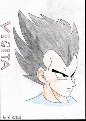VEGETA