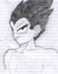 Vegeta(als Jugentlicher)
