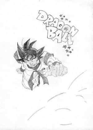 Son Goku ... fly over the sky