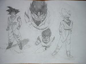 Goku