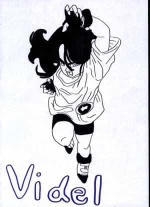 Videl