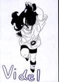Videl