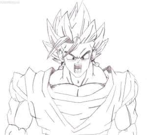 Vegetto