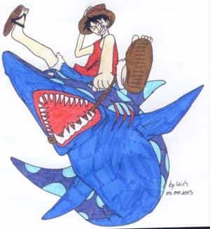 luffy and shark