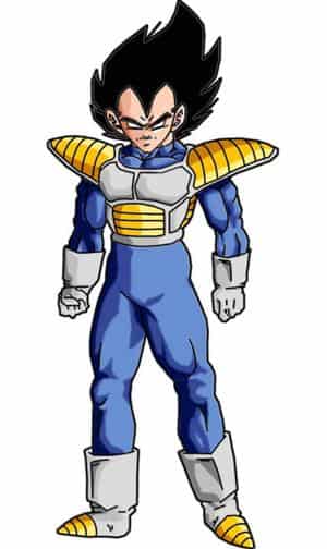 Vegeta altneu color
