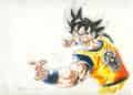 Son Goku in Kampfpose ^^