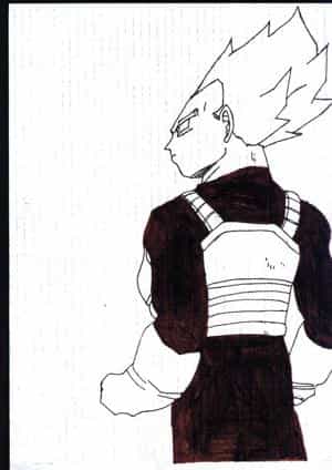 vegeta