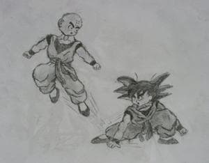 Goku´s kick :)