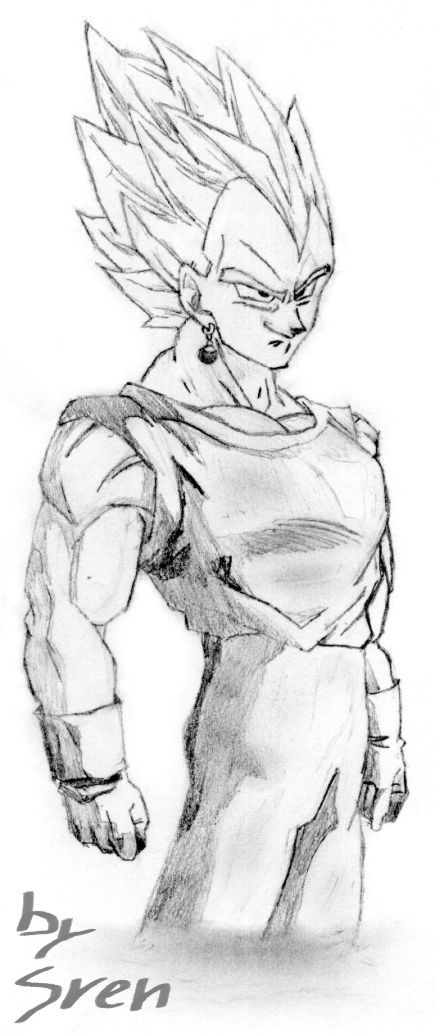Gogeta (oder wer auch immer das ist...)
