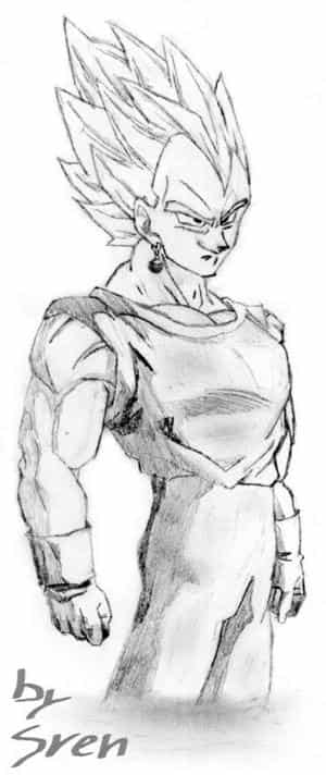 Gogeta (oder wer auch immer das ist...)