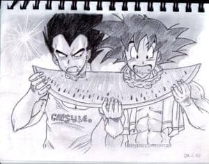 Son Goku und Vegeta