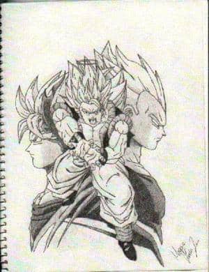Vegetto