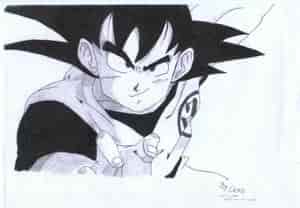 Son Goku mit Kampfgrinsen