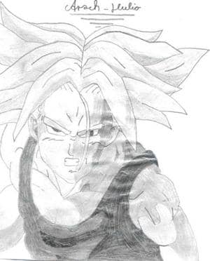 Trunks