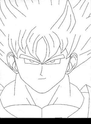 vegetto