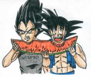 Vegeta und Goku