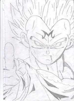 Vegeta 2001