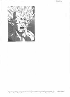 Vegeta 03