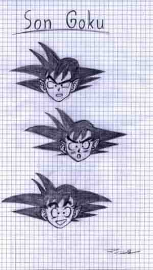 Son Goku Skizzen