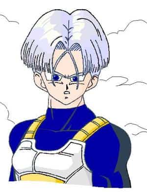 Trunks2