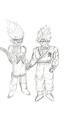 Son goku und Vegeta ssj5