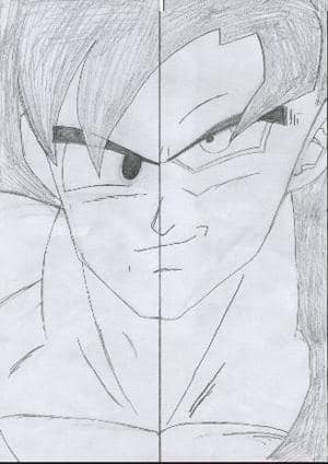 Son Goku ,,Normal + ss4``
