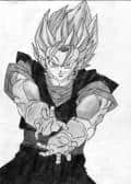 Vegeto