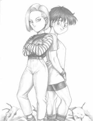 C18 & Videl