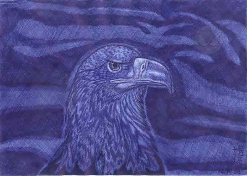 Blick in die Zukunft