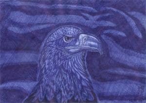 Blick in die Zukunft