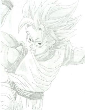 SSJ GOKU