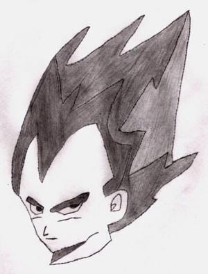 Vegeta BITTE BENOTEN WICHTIG!!!!!