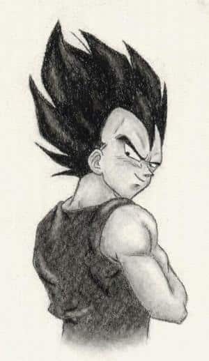 Vegeta ganz anders