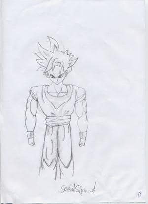 Son Gohan
