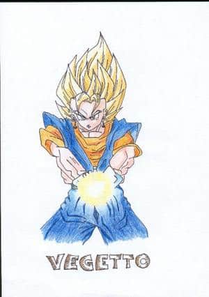 Vegetto