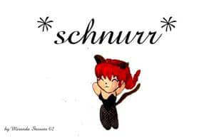 Ranma la chat!
