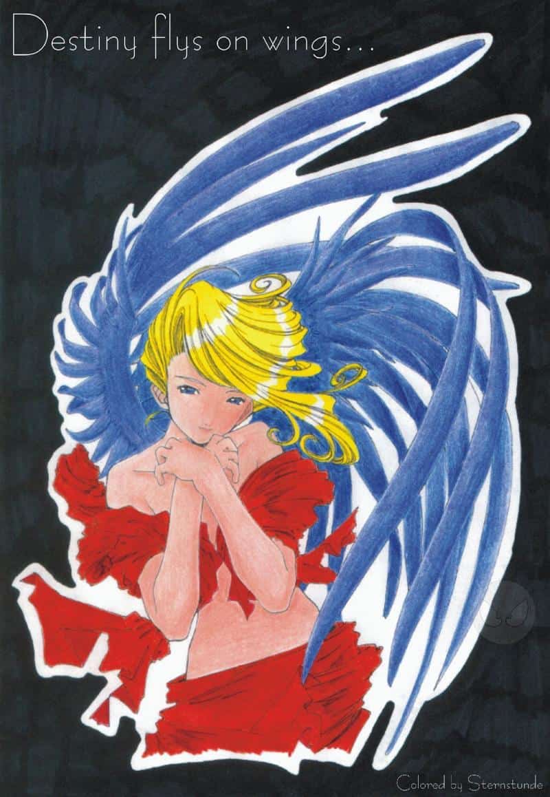 ACHTUNG!!!! NUR COLORIERT