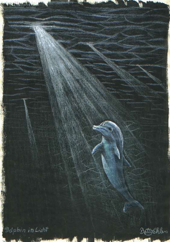 "Delphin im Licht"