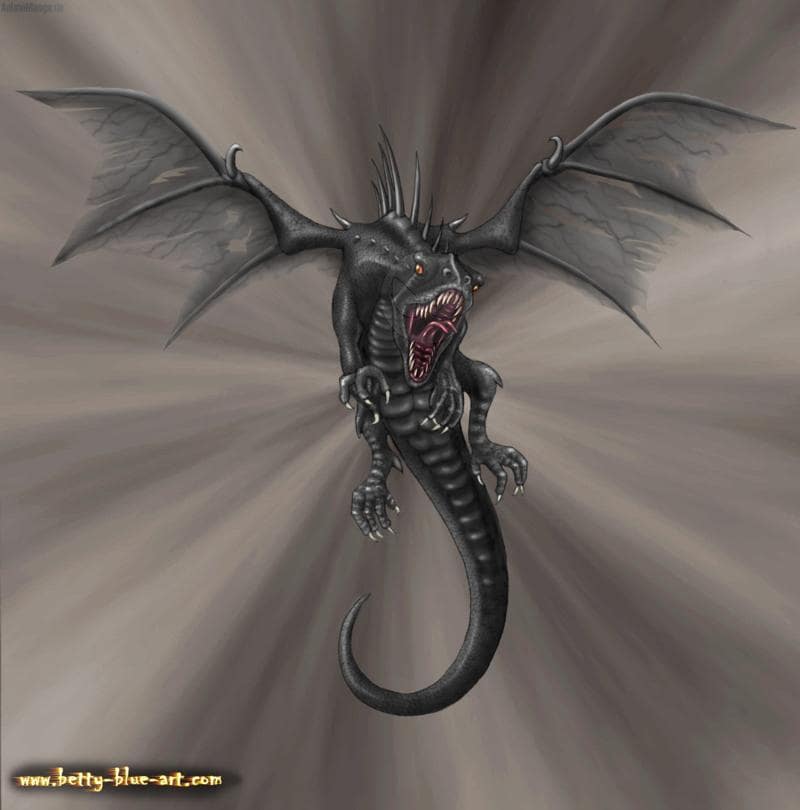 "black dragon"