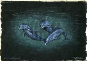 "Nacht der Delphine"