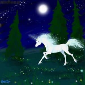 *Einhorn in der Nacht*