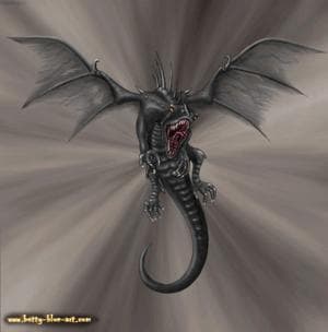 "black dragon"