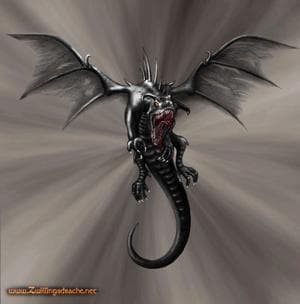 Schwarzer Drache