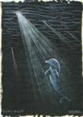 "Delphin im Licht"