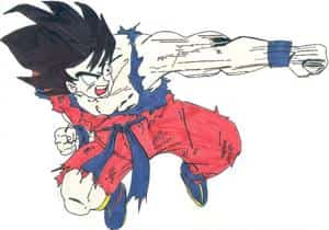 Son Goku
