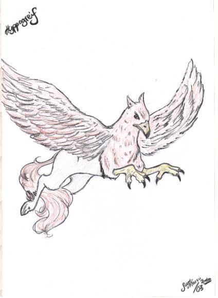 Hyppogriff