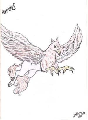 Hyppogriff