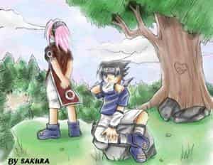 In the forest of death