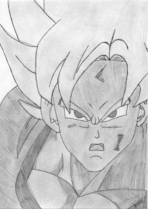 Son Goku 1