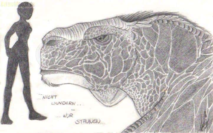 uff....fragt nich, habe selber keine ahnung *blush*